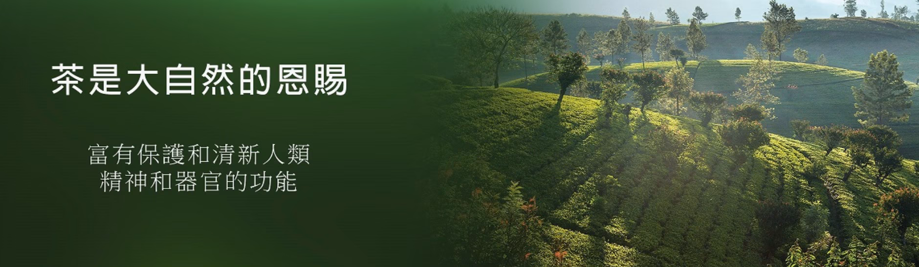 fc488990-ff77-41d4-803b-d85dbb2ce547
